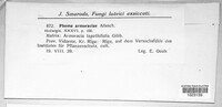 Image Associated With the Occurence